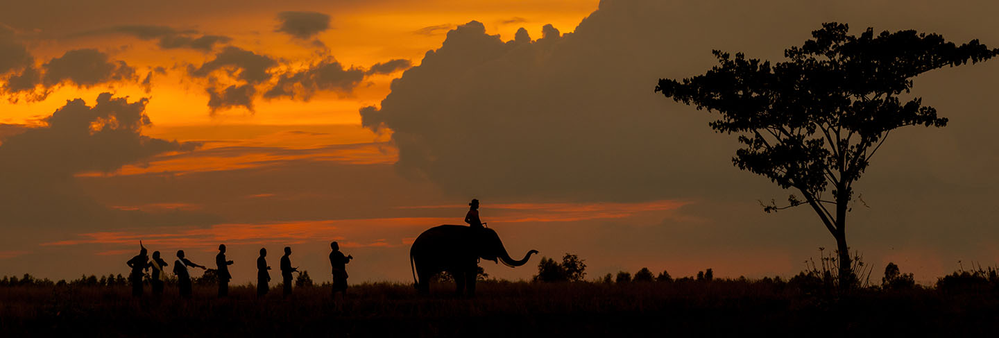 Silhouette of elephant parade and culture