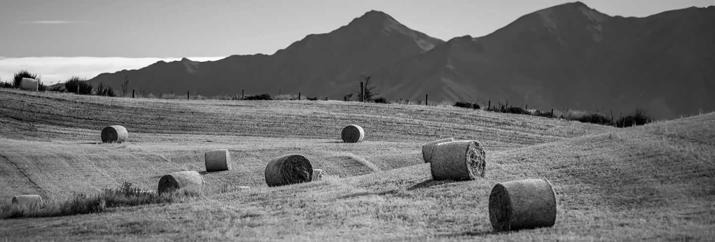 Haystack in a field in summer against a background of mountains in new zealand