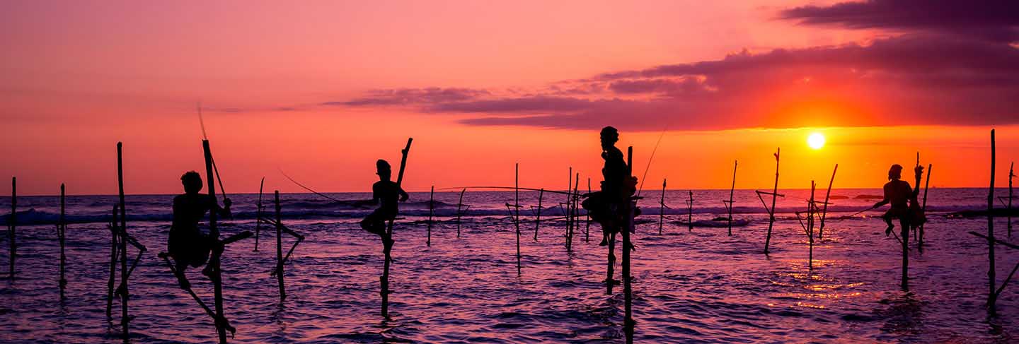 Traditional stilt fisherman in sri lanka