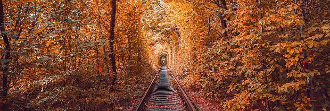 Love tunnel in autumn