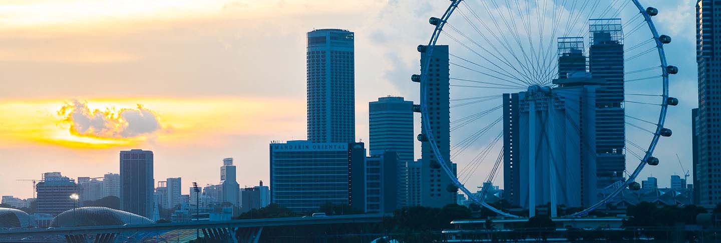 Singapore flyer