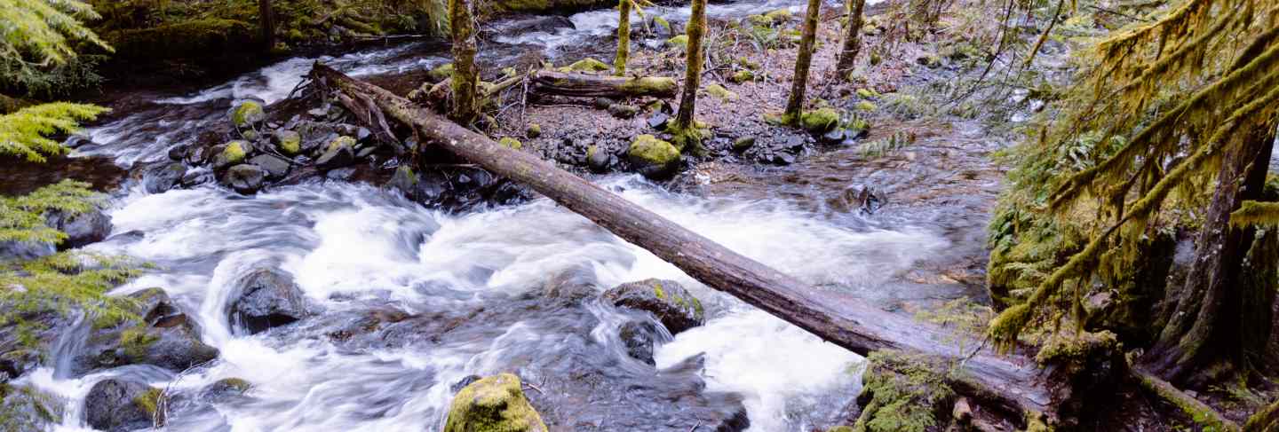 Beautiful shot of a lake in a forest in a rocky terrain