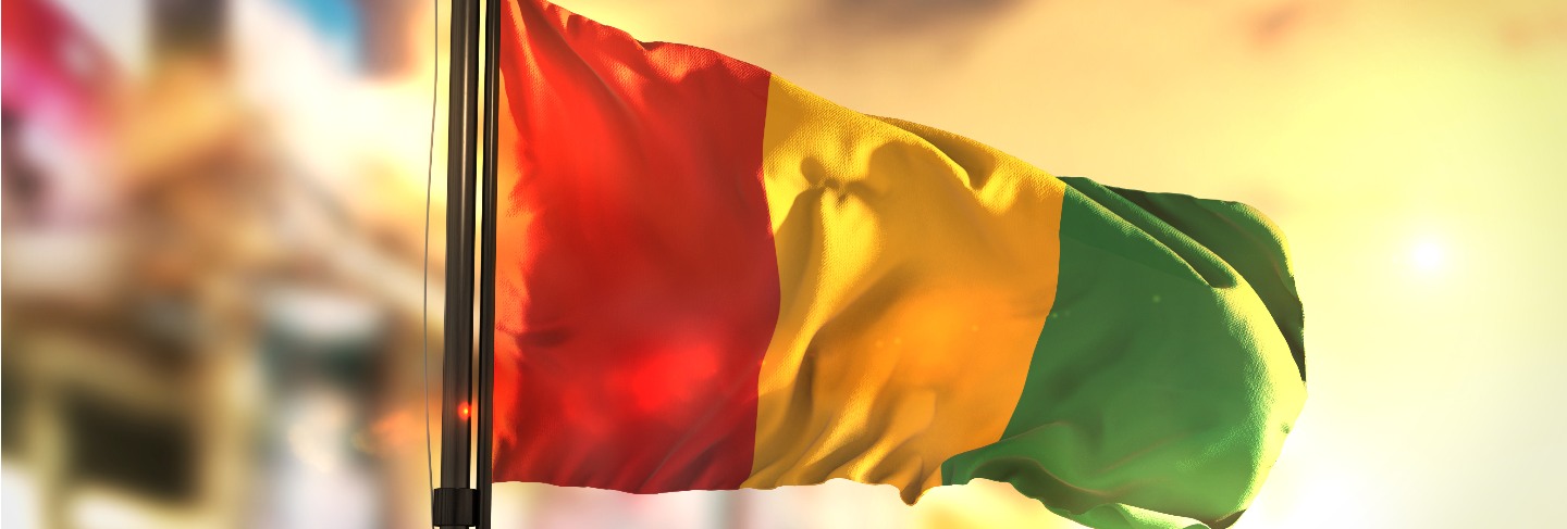 Guinea flag against city blurred background at sunrise backlight