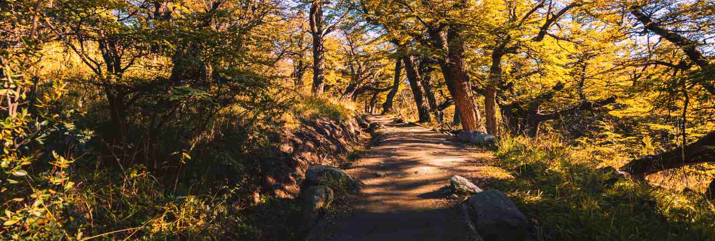 Los glaciares national park, santa cruz province, patagonia, argentina, on the trail to the fitz roy mount.