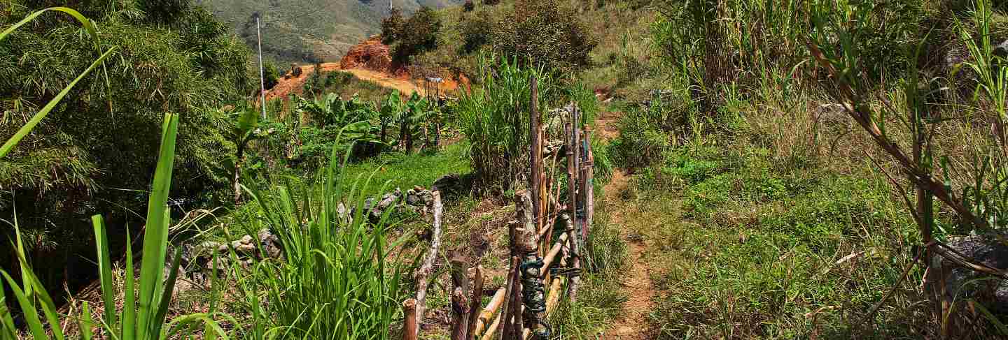 The tracking in valley of wamena, papua, 