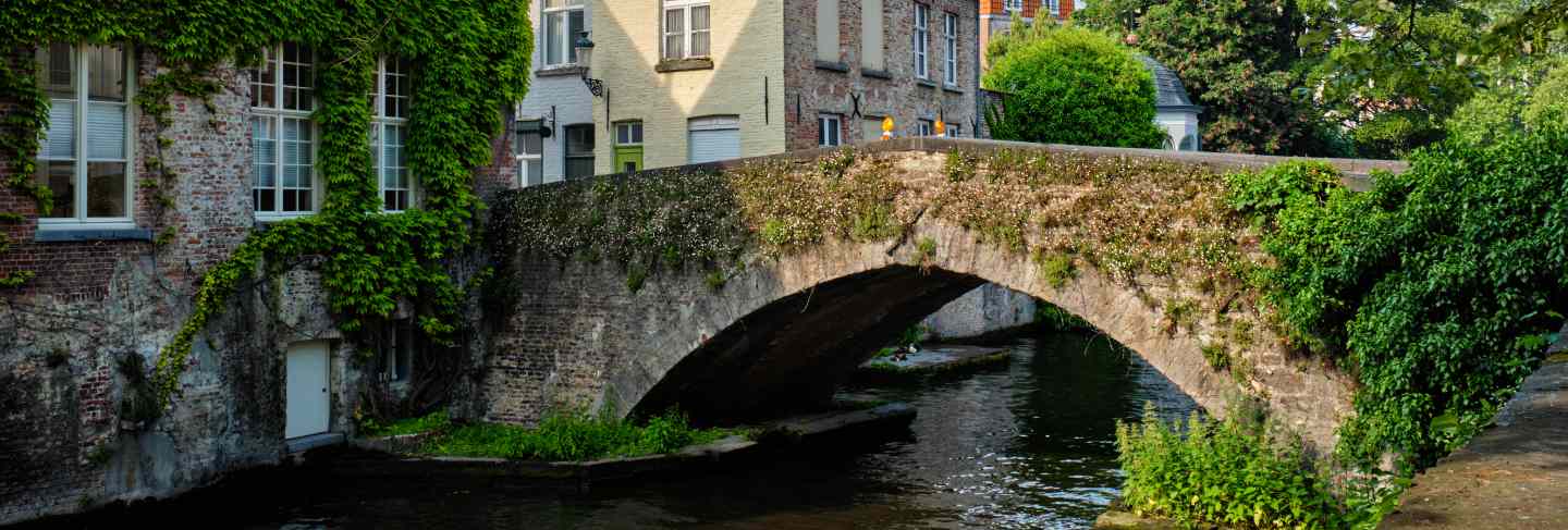 Brugge canal and old houses and tree. bruges, belgium
