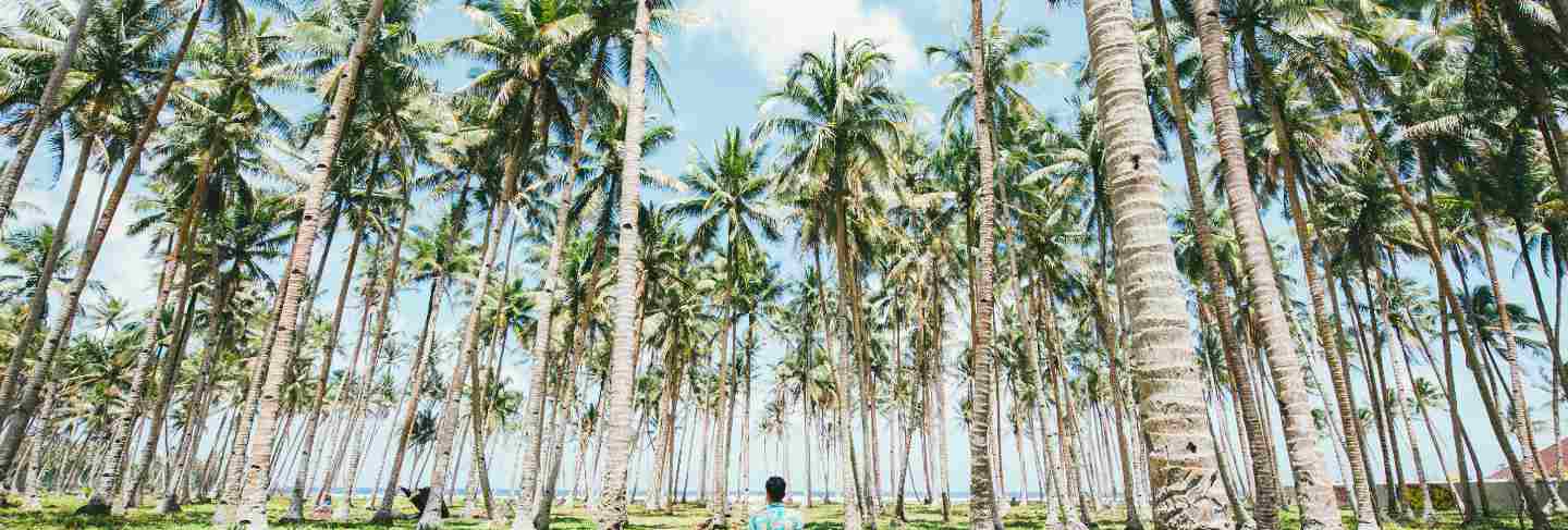 Man standing on the beach and enjoying the tropical place with a view. caribbean sea colors and palm trees in the background. concept about travels and lifestyle
