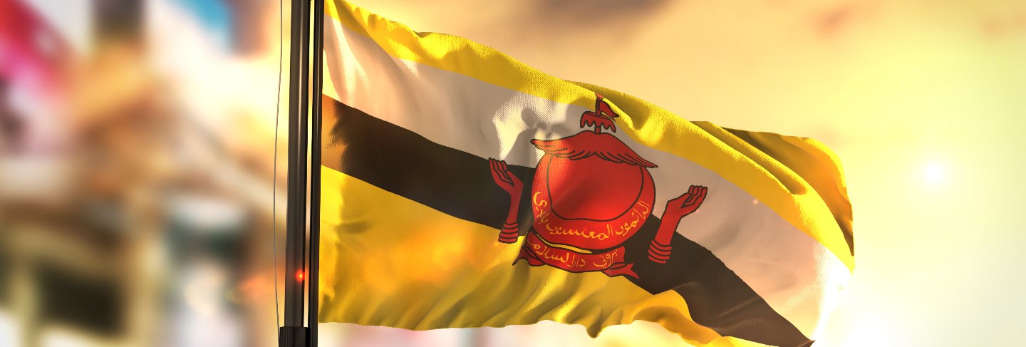 Brunei flag against city blurred background at sunrise backlight