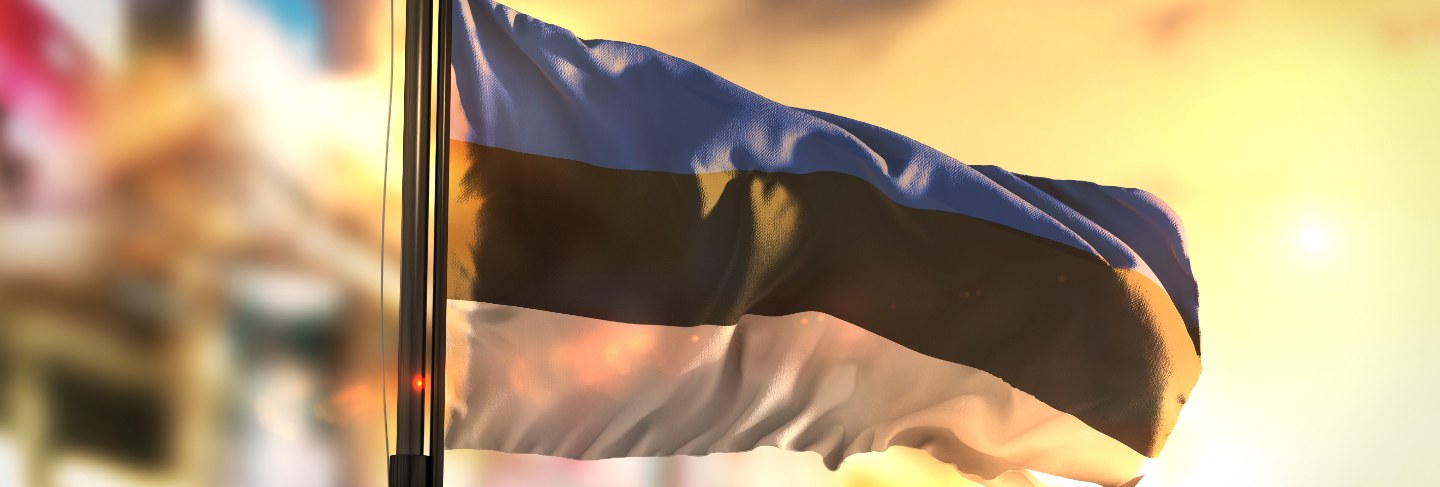 Estonia flag against city blurred background at sunrise backlight
