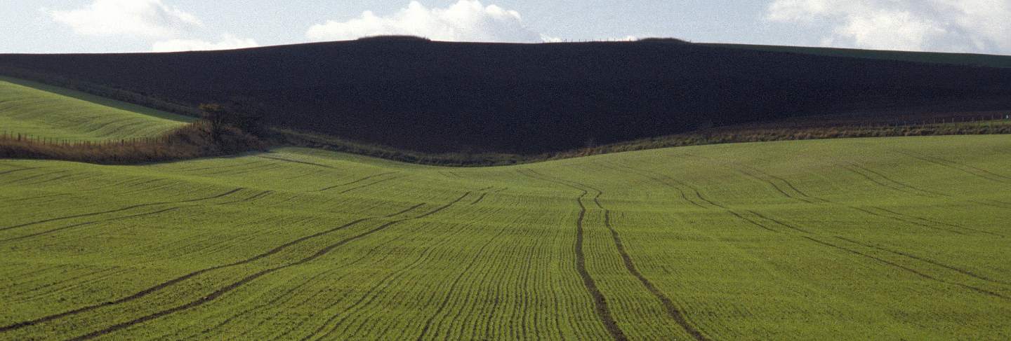 Aerial shot of a grassy field with a mountain in the distance at wiltshire