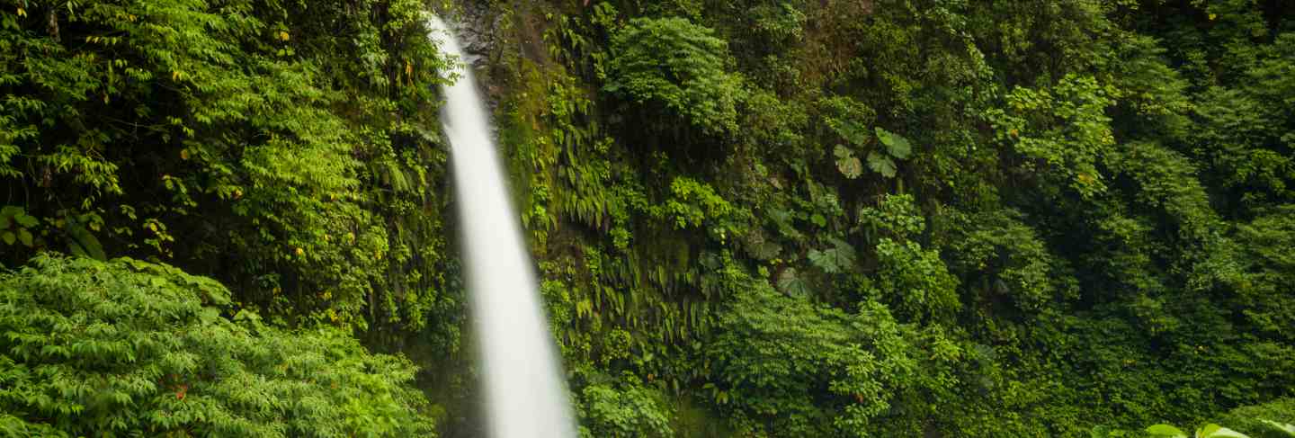 Majestic waterfall in rainforest of costa rica
