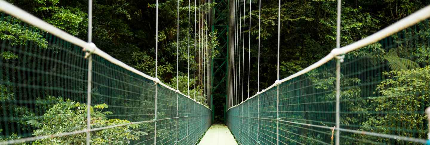 View of suspension bridge over the costa rica rainforest
