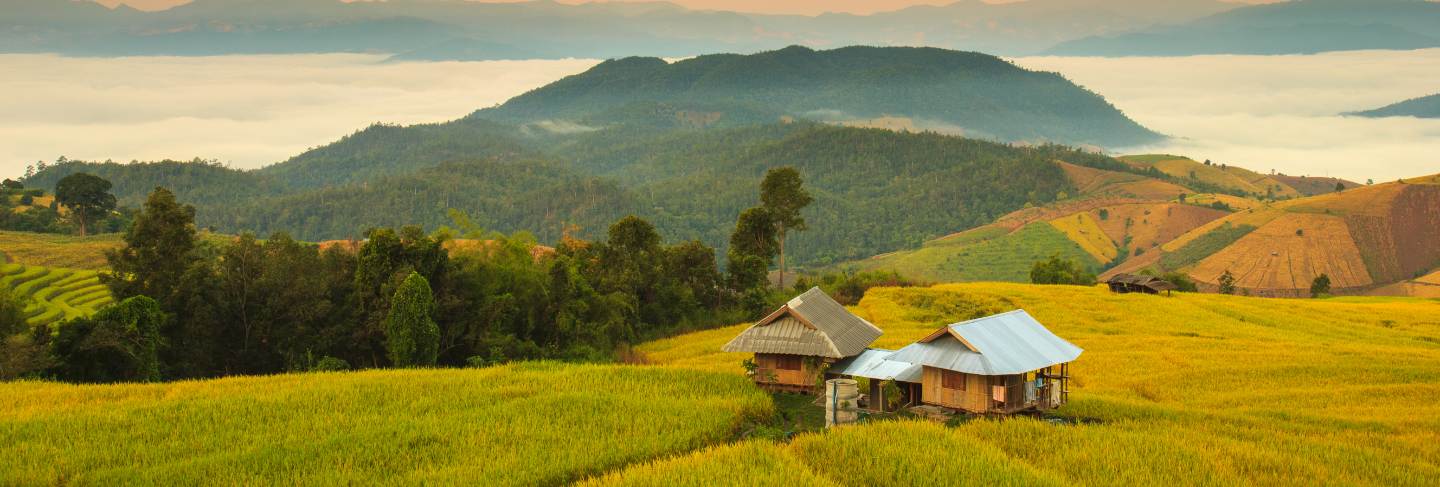 Sunrise at terraced paddy field in mae-jam village