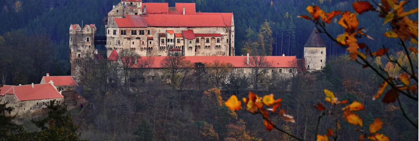 Beautiful old castle in forests with autumn landscape
