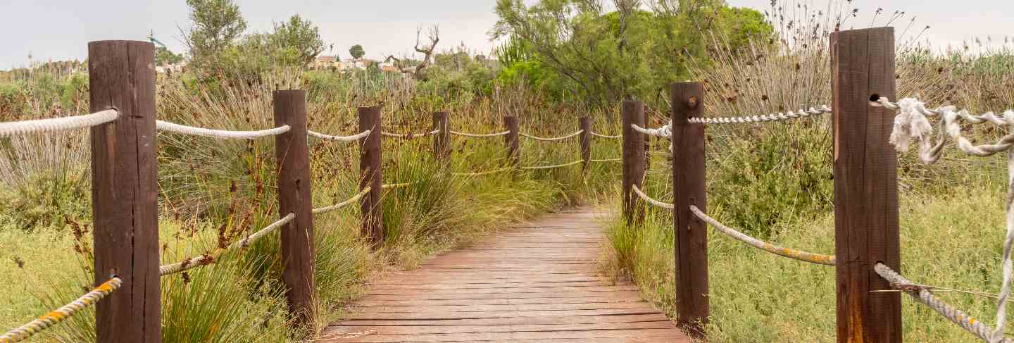 Wooden footbridge in the field among the grass
