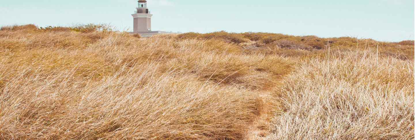 Beautiful field with dry greenery and a lighthouse beacon tower in the distance under a blue sky