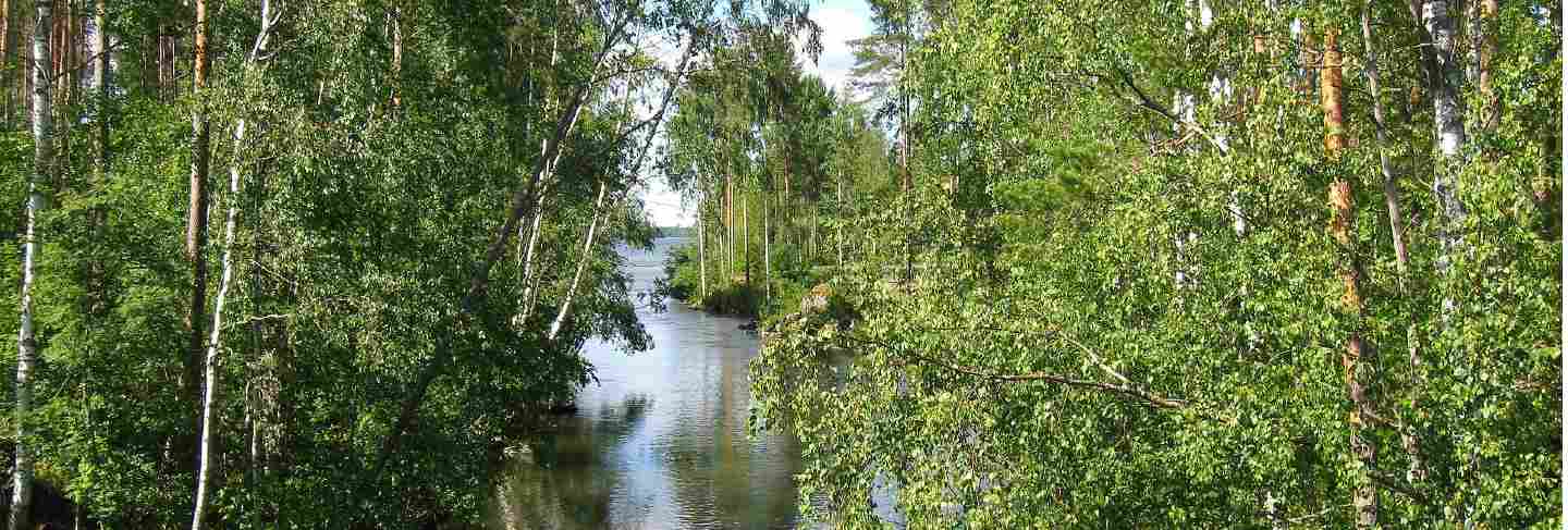 Stream water finland nature summer lake
