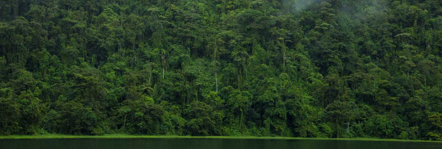 Idyllic river near costa rican rainforest
