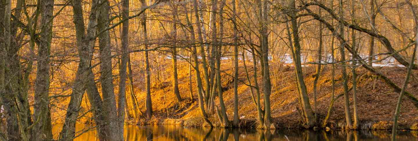 Svisloch river flows in minsk and creates scenic spots. belarus. 
