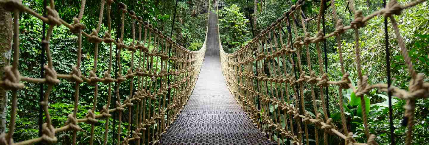 Bridge rainforest suspension bridge, crossing the river, ferriage in the woods