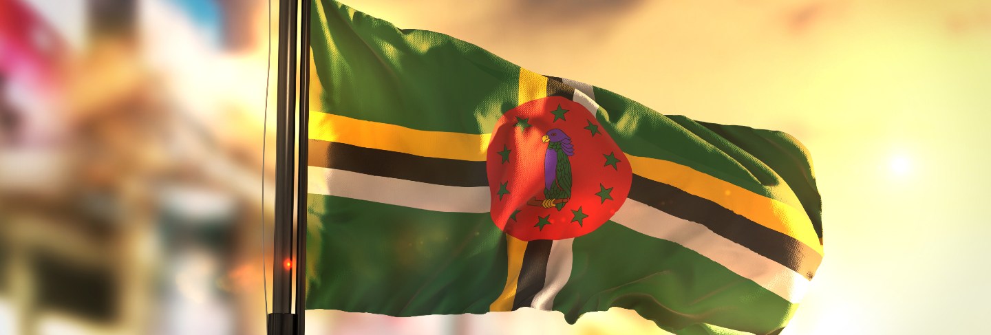 Dominica flag against city blurred background at sunrise backlight
