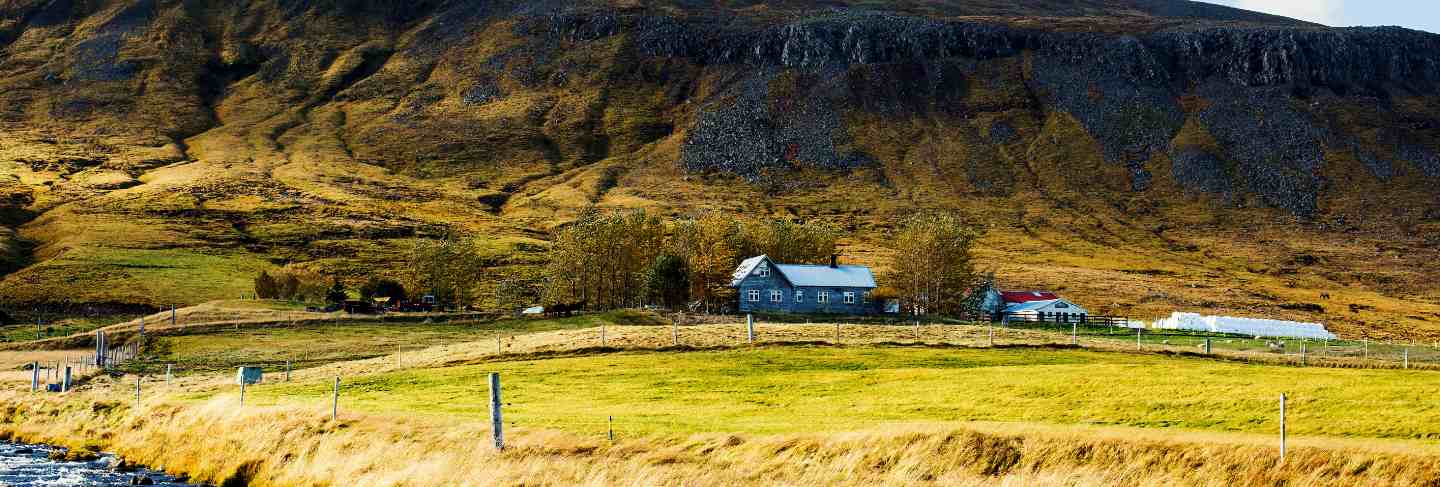 Field in iceland