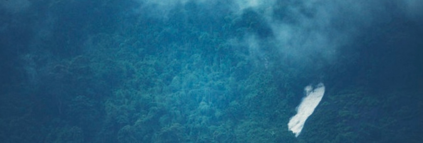 landscape-view-tropical-rain-forest-nature-scene_33755-3718
