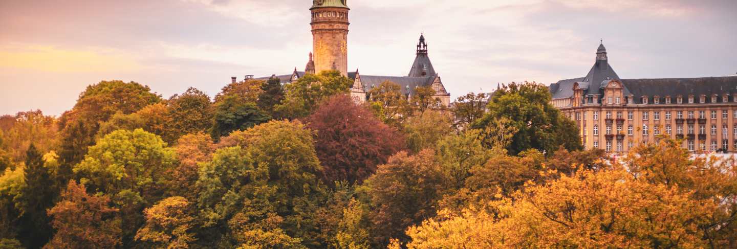 Tower of the bank of luxembourg surrounded by trees
