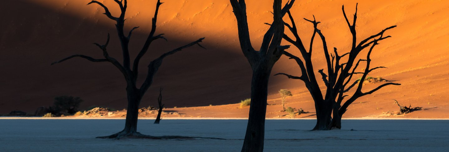 deadvlei-namib-naukluft-national-park-sossusvlei-namibia-dead-camelthorn-trees-against-orange-sand-dunes-with-blue-sky
