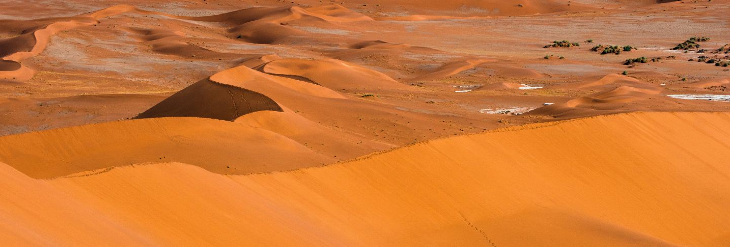 beautiful-landscape-orange-sand-dune-orange-sand-namib-desert-namib-naukluft-national-park-sossusvlei-namibia
