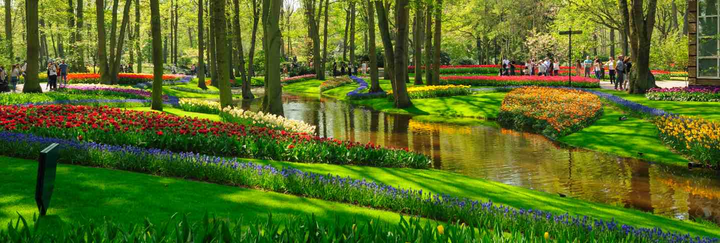 Flower beds of keukenhof gardens in lisse, netherlands