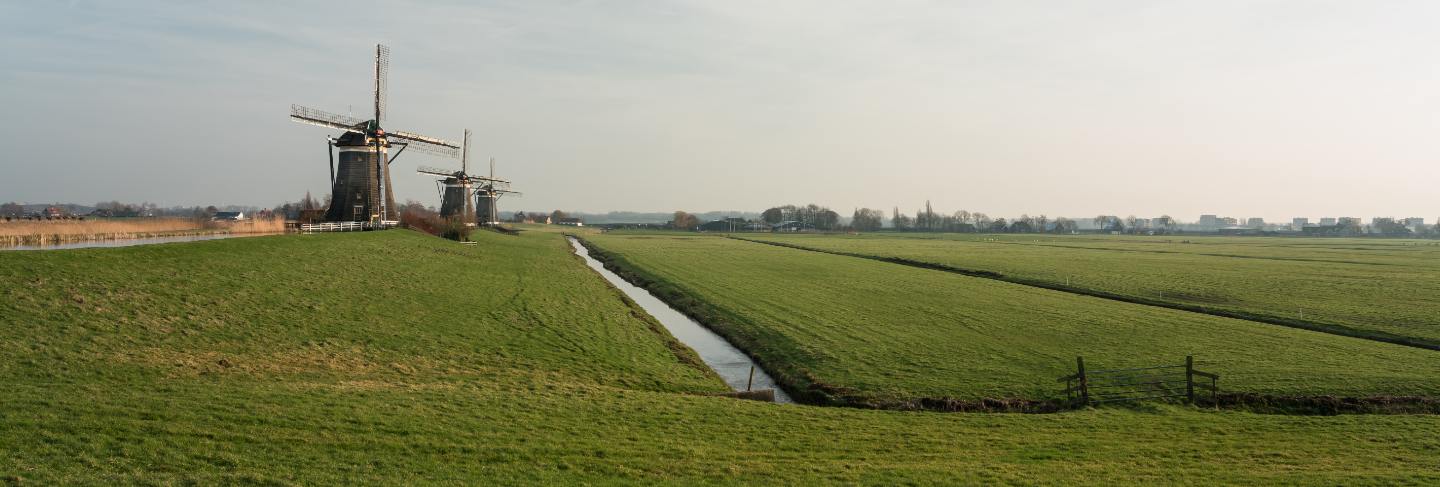 Windmill in nederland