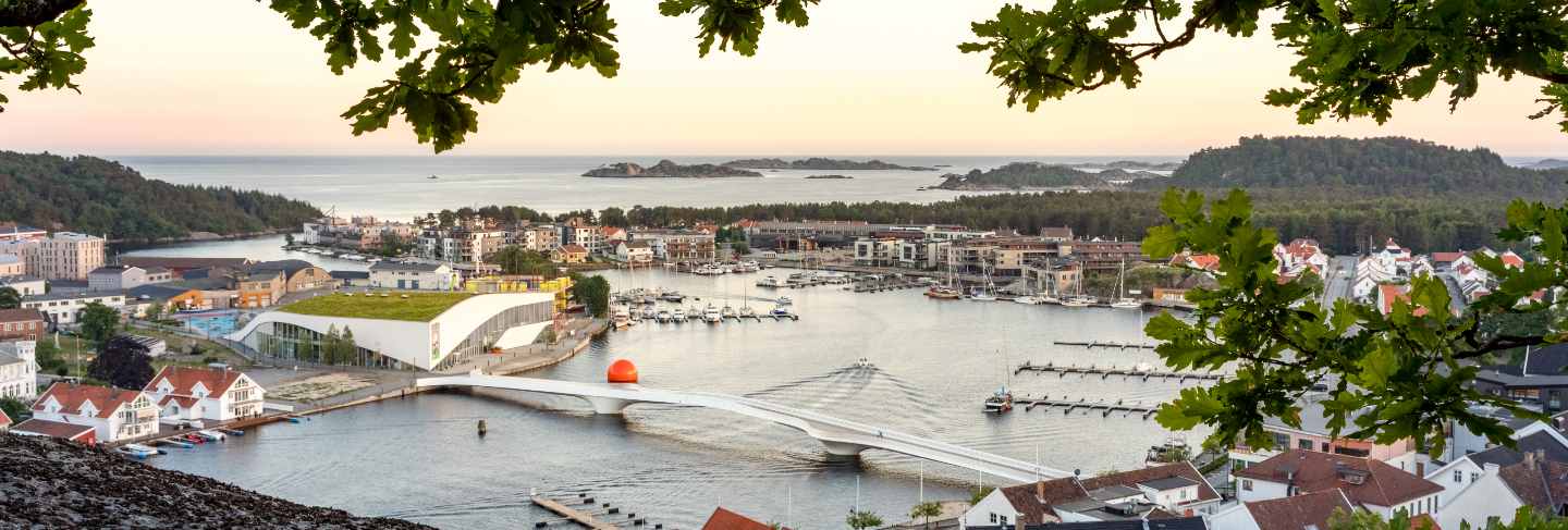 Mandal, a small town in the south of norway. seen from a height, with a cliff and an oak tree in the foreground
