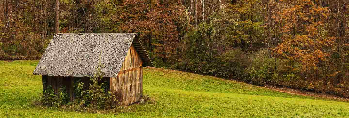 Old wooden house in slovenian alps surrounded by high colorful trees
