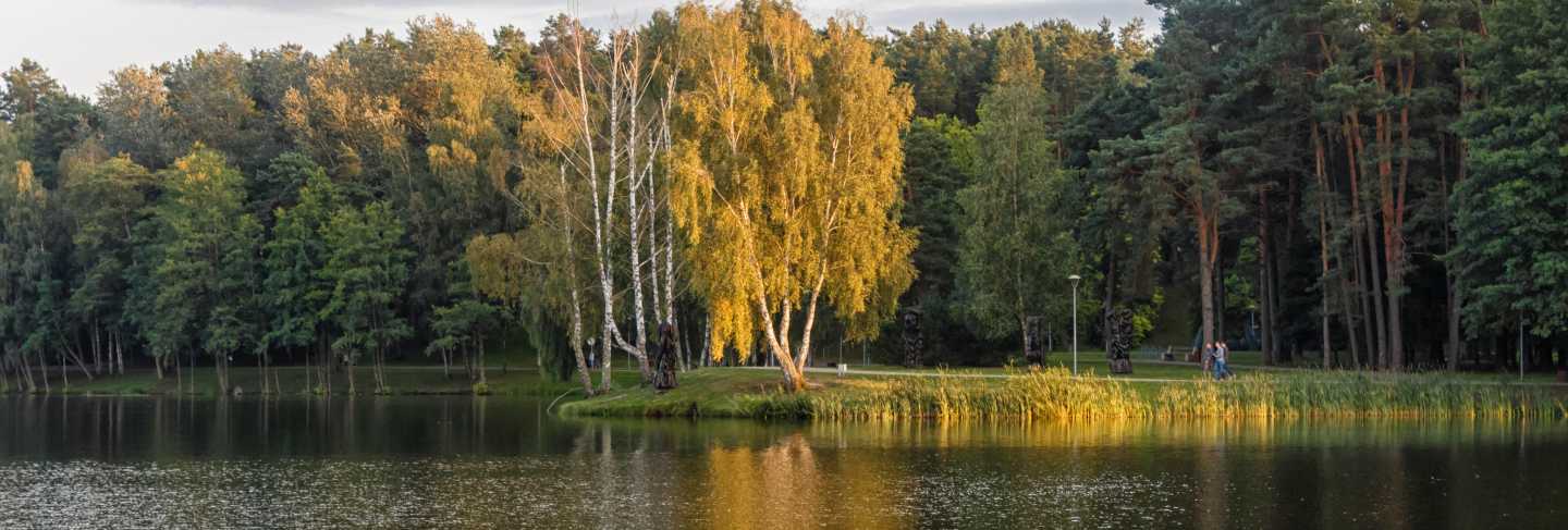 A forest park with large lake and and trees on the shore.
