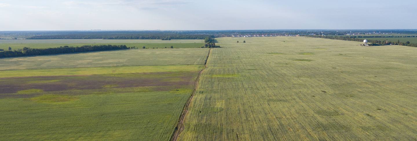 Farmland from above - aerial image of a lush green field
