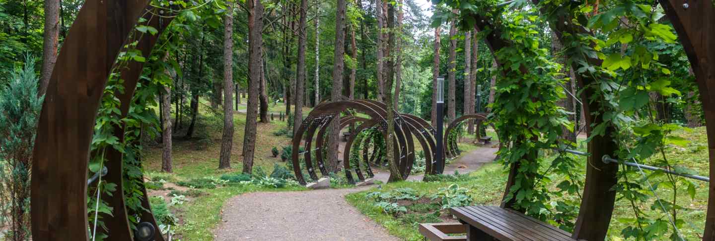 A forest park with large trees and creative benches and arches
