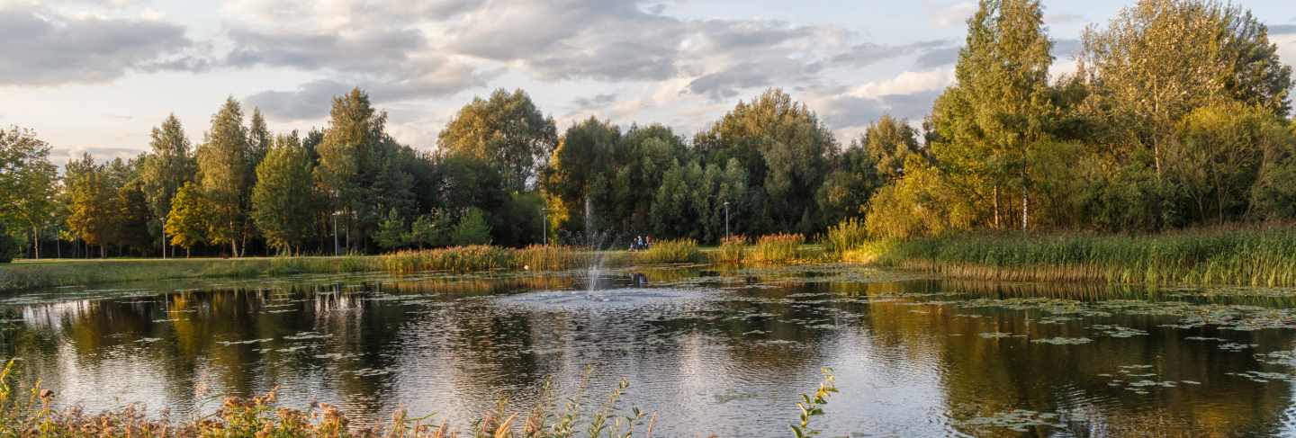 A forest park with large lake and and trees on the shore.
