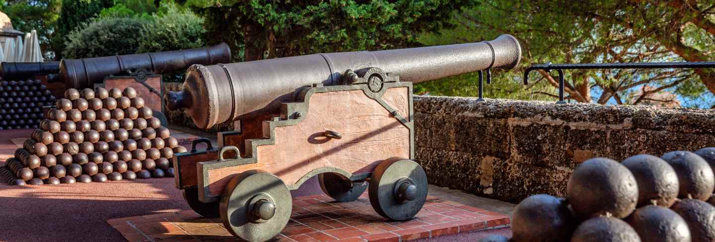 Guns with beautifully laid out hill cores in the garden of the prince's palace