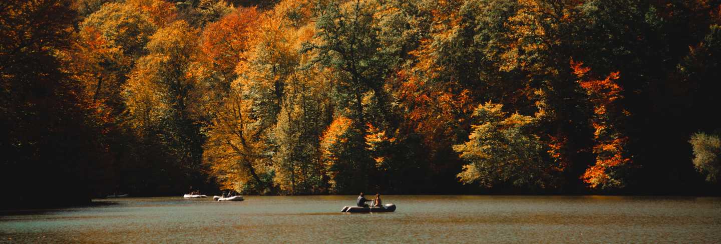 Vertical shot of people sailing in a green ake full surrounded by a colorful autumn forest
