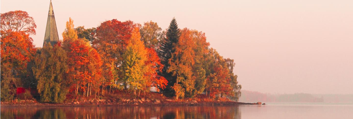 Orange and green leafy trees near lake
