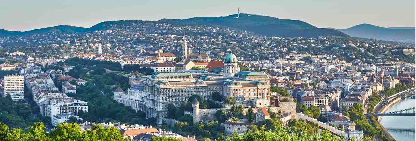 Cityscape of royal palace of budapest city 
