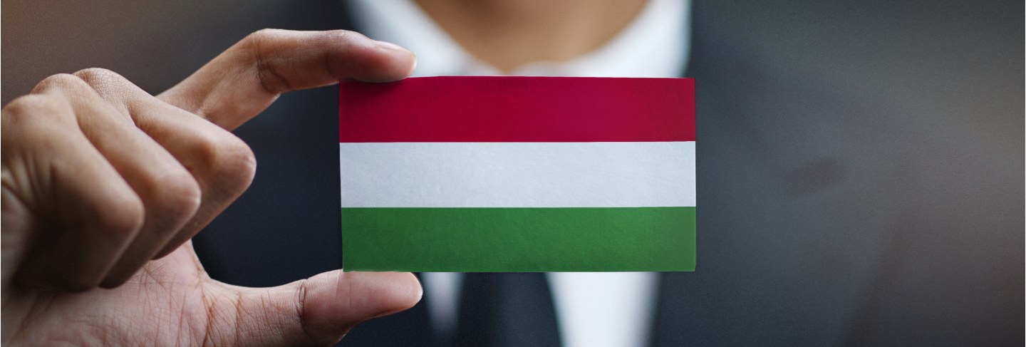 Businessman holding card of hungary flag
