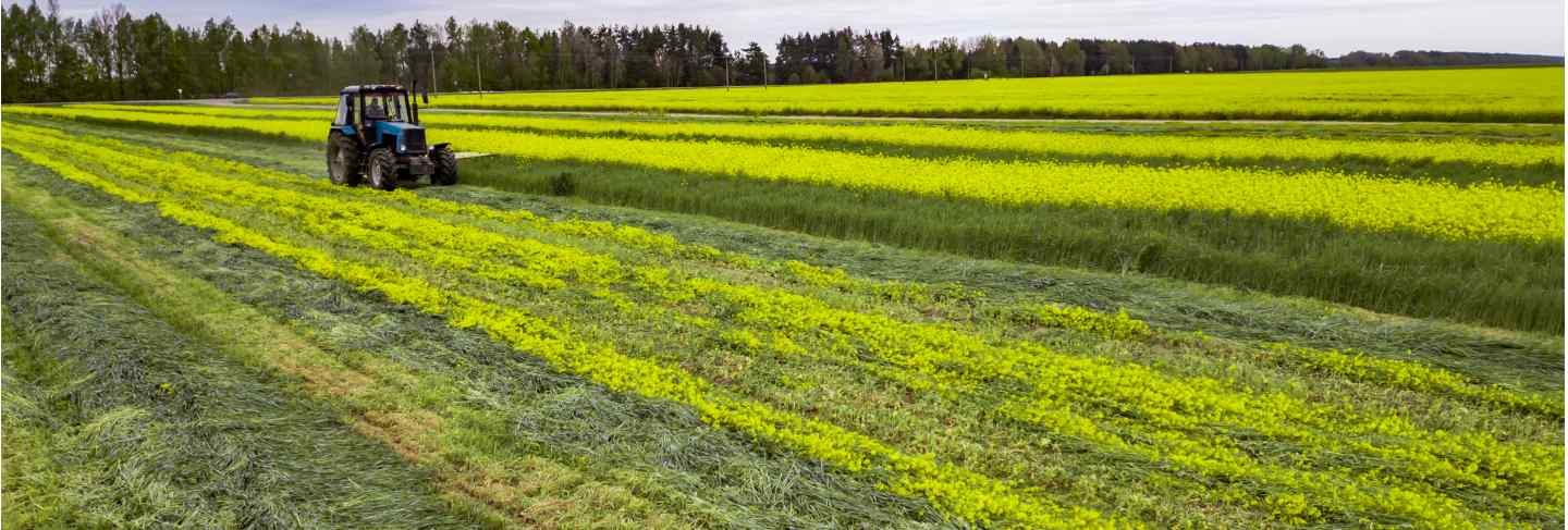 Tractor mowing green field
