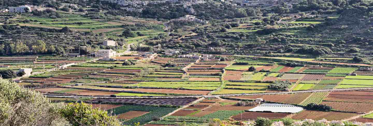 Panoramic scenic view of typical winter malta fields Premium Photo
