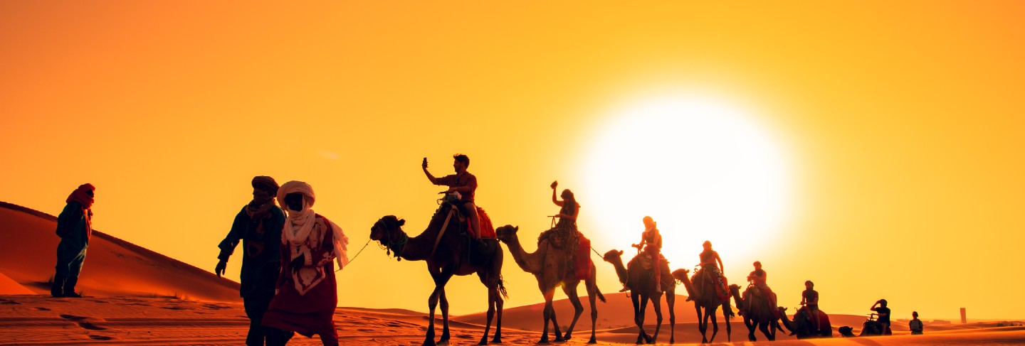 Camel caravan at sunset in the sahara desert.
