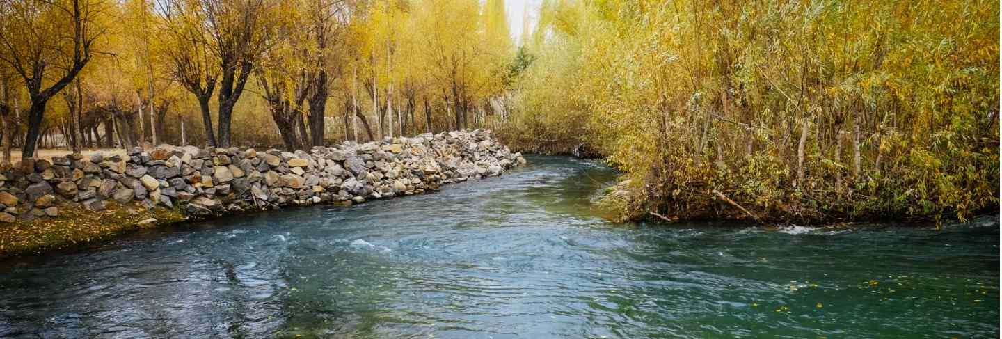 Clear water of creek flowing through colorful foliage grove in autumn season. Premium Photo
