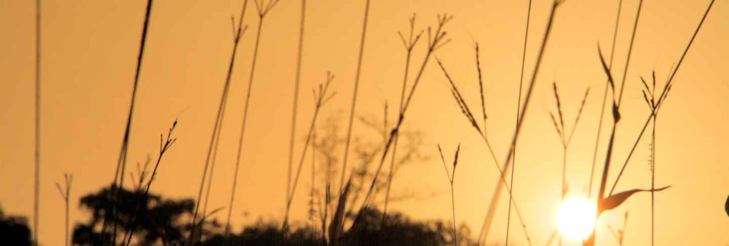 sunrise in bassari village grassland in senegal