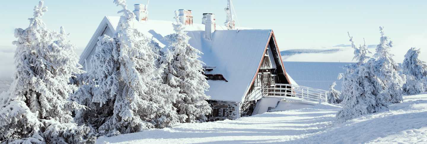 Winter house with snow forest 