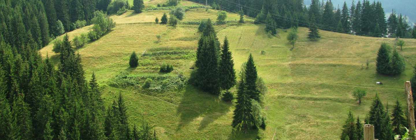 View from the central rhodopi mountain, landscape
